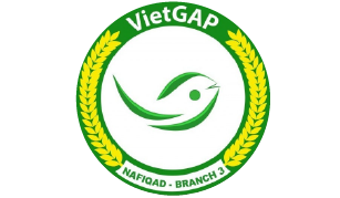 VIETGAP